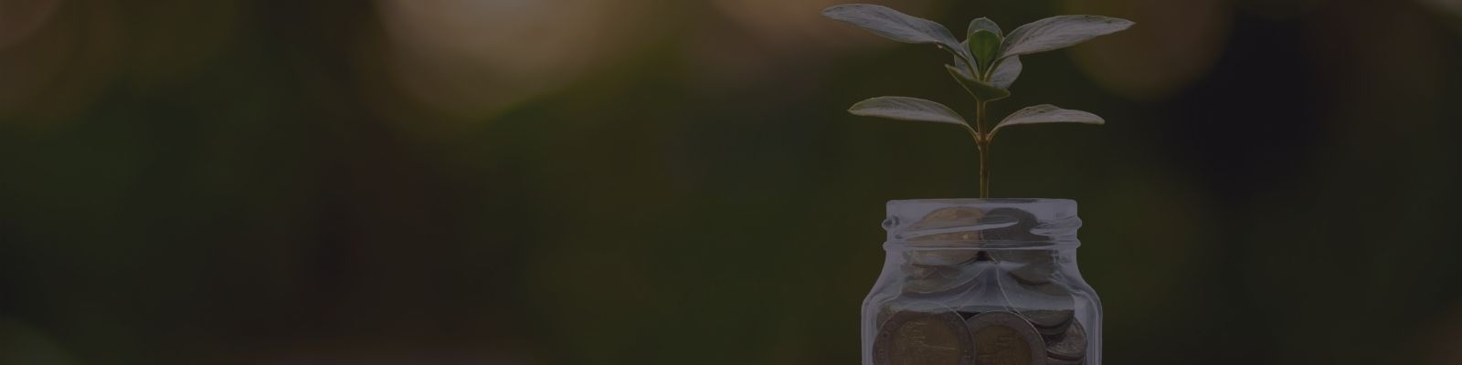 Blog background image