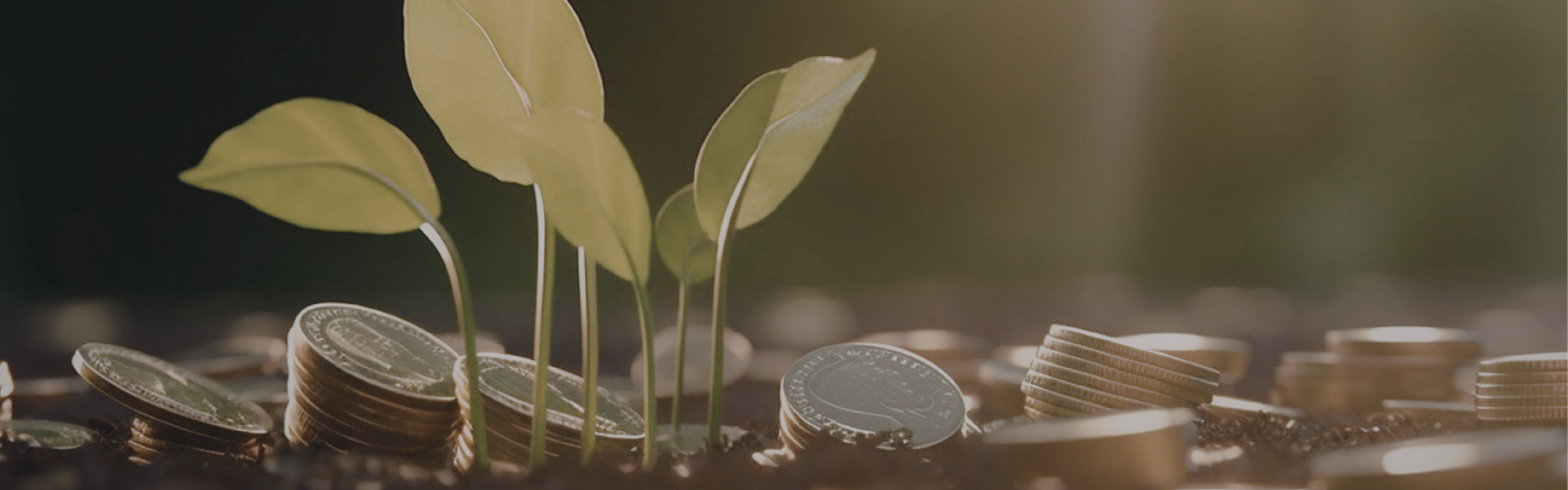 Blog background image