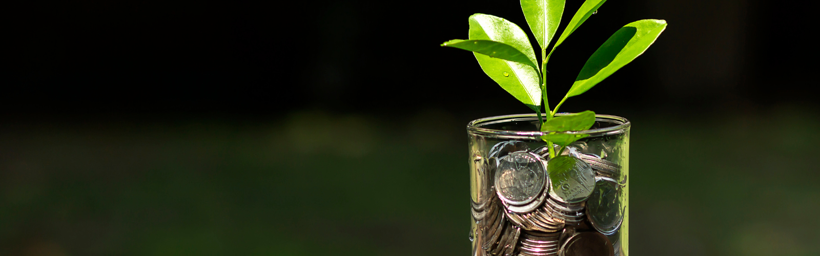 Blog background image