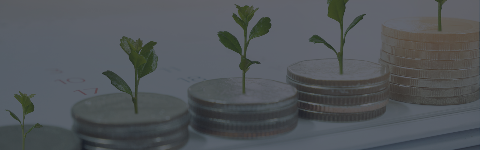 Blog background image