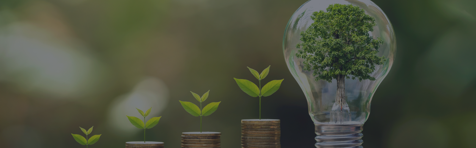 Blog background image