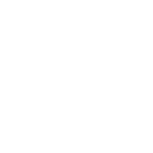 Investors Planning Important Life Goals icon